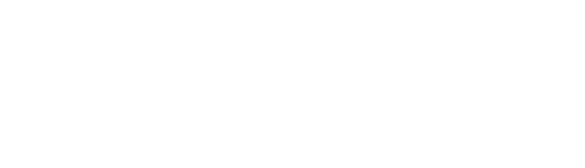 netzjunkie